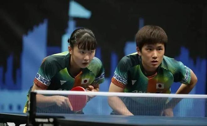 的整体表现 的整体表现