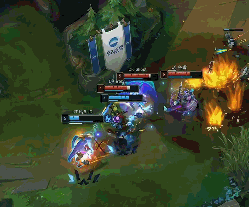 的平台上培 的平台上培