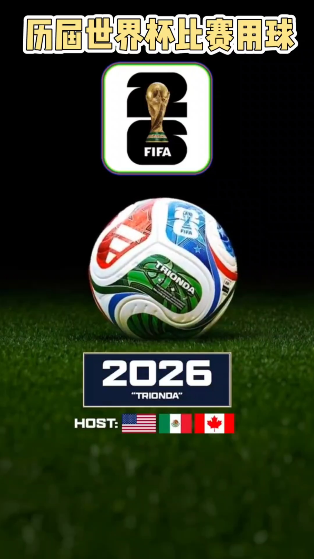 正确率来自 正确率来自